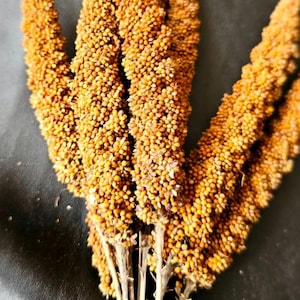 Spray di miglio da 150 grammi, spray di miglio biologico, spray di miglio naturale, spray per criceti, dolcetti per pappagalli, dolcetti per criceti, dolcetti per uccelli