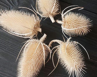 Puede incluir: Cinco cabezas de cardo secas dispuestas en forma de estrella sobre una superficie de madera negra. Las cabezas de las flores son beige y tienen una textura espinosa.