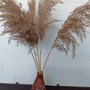 10 LARGE Pampas Grass,Dry Reeds,Natural Long Plume,Dried Flowers,Wedding Decor,Tall Vase,Dry Bouquet,Tall Arangement