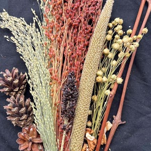 May include: A collection of dried natural elements, including various grains, red berries, pine cones, and walnuts, arranged against a black background. The arrangement features a variety of textures and colors, suitable for fall decor or crafting.
