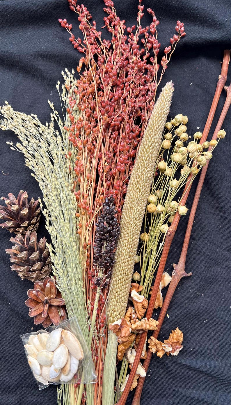 May include: A collection of dried natural elements, including various grains, red berries, pine cones, and walnuts, arranged against a black background. The arrangement features a variety of textures and colors, suitable for fall decor or crafting.