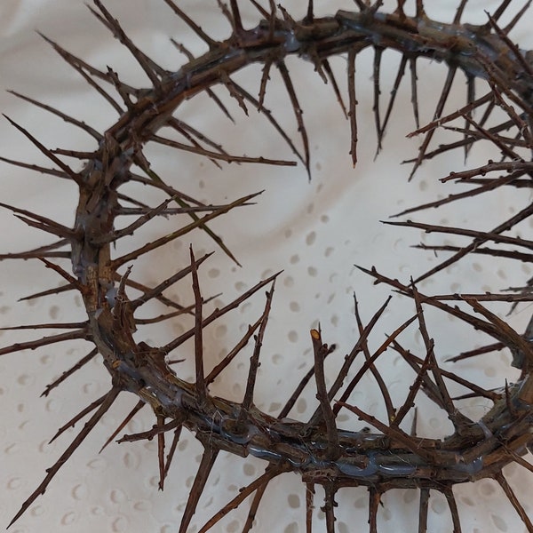 Sharp real thorn,Jesus Christ crown,thorns crown home decor. Christ crown of thorns christian passover rustic unique prop. Crown of Jesus