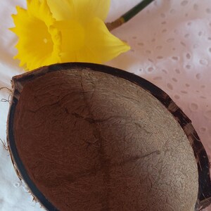 Puede incluir: Una cáscara de coco a la mitad con un interior marrón texturizado y un borde oscuro. Un narciso amarillo brillante con un tallo verde descansa junto a la cáscara de coco sobre una tela blanca con un patrón de ojal. Tema natural y orgánico.
