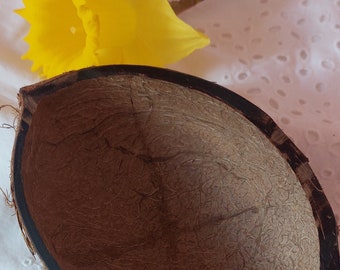 Meia Casca de Coco Natural: Decorações Tropicais Artesanais, com fibra e qualidade natural autêntica.