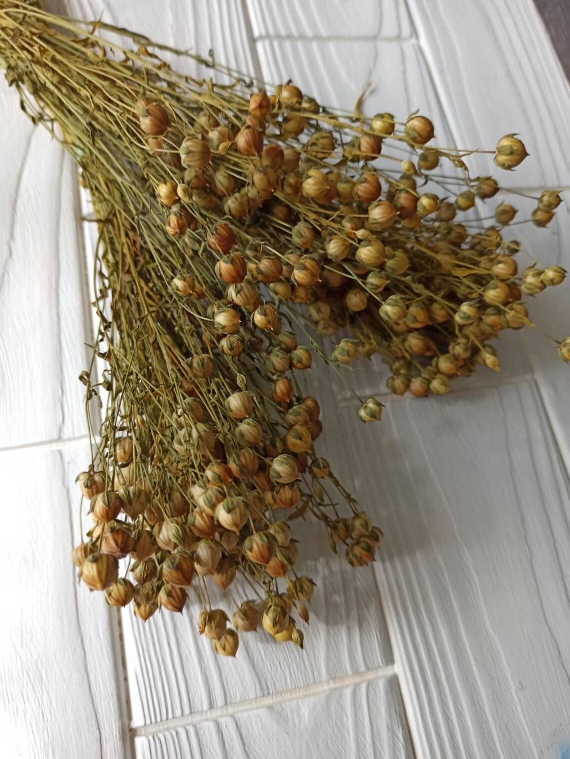 Organic Flax Spray, Flax Spray Etsy