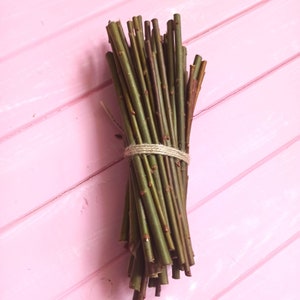 Organic Willow Sticks