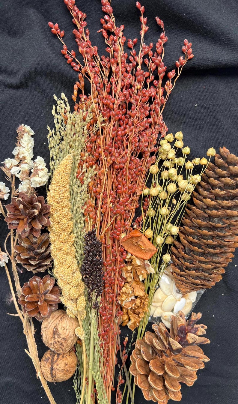 May include: A collection of dried natural elements, including pine cones, walnuts, seeds, and various types of dried grasses and flowers. The color palette includes shades of brown, beige, red, and yellow, creating a rustic and organic aesthetic.