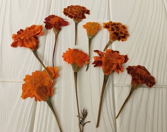 Pressed Marigold Flowers, Dried Floral Art for Resin Crafts