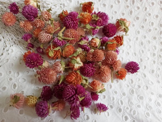 50 Pcs Small Dried Flowers,tiny Dry Flowers,flowers for Resin,box Resin  DIY, Dry Flower Supply, Dried Flowers Kit, Dried Flowers for Crafts 