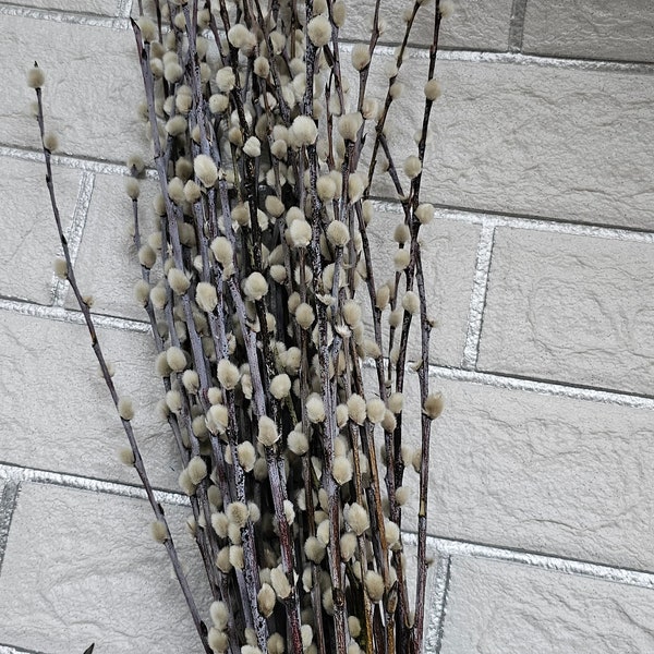 25 Dried Pussy willow branches.Twigs Catkins,Spring decor.Dried Wedding flowers,Dried bouquet.Willow twigs/easter decor,pussywillow stems