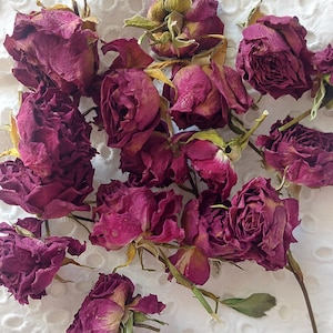 20 pcs Dried Rose Flowers,Dried Rose,Red dry roses,Miniature Rose Buds,Red Dried Roses,tiny dried flower for resin, dried plants for craft