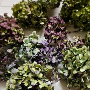 May include: A collection of dried hydrangea flower heads in various colours, including green, purple, and brown. The flowers are displayed on a white wooden surface, emphasizing their textured petals and natural hues. The image showcases the beauty of dried floral arrangements.