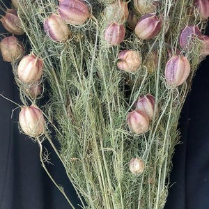 15 tiges de nigelle séchée, gousses de fleurs de nigelle naturelles, paquet de plantes de nigelle séchées. remplissage pour vases, arrangement de fleurs séchées, décoration d&#39;intérieur rustique