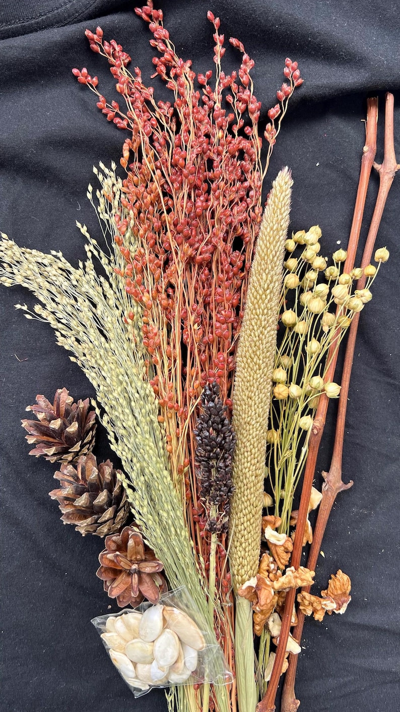 May include: A collection of dried natural elements, including red and tan grasses, pine cones, and walnuts, arranged on a black background. The arrangement features a variety of textures and colors, creating a rustic and organic aesthetic.
