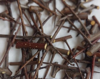 Espinas de espino secas: decoración artesanal natural, partes de árboles paganos