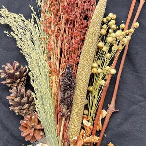 May include: A collection of dried natural elements, including wheat, red berries, pine cones, and walnuts, arranged against a black background. A small bag of seeds is also included. The arrangement has a rustic, autumnal theme.