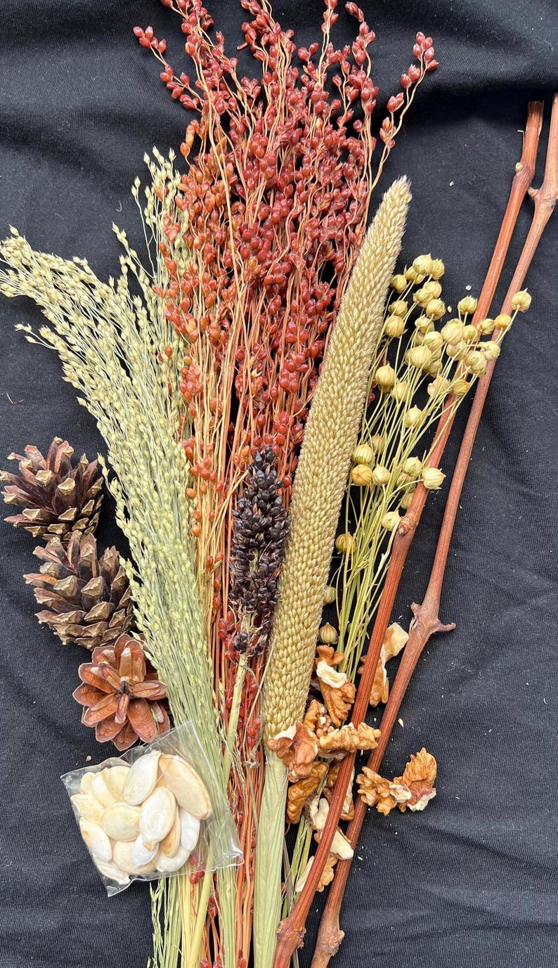 May include: A collection of dried natural elements, including wheat, red berries, pine cones, and walnuts, arranged against a black background. A small bag of seeds is also included. The arrangement has a rustic, autumnal theme.