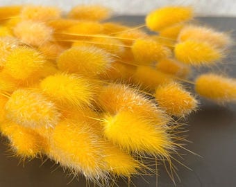 Yellow Dried Lagurus Bunny Tail Grass: Floral Decor