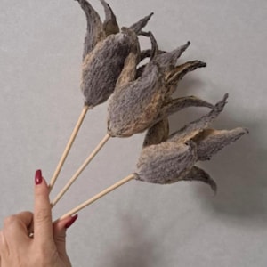 May include: Three dried, gray-brown flower stems with textured petals. The flowers are held by a hand with red nail polish. The stems are made of light-colored wood. The background is a solid, light gray.