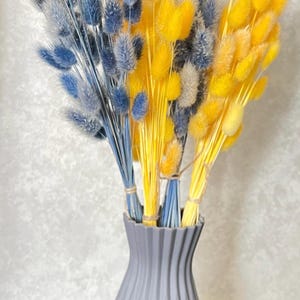 Lagurus blue Dried Hare&#39;s tail grass Bunny Tail Dried FLowers.Lagurus,Bunny Tail, Dried Flowers, White Dried Hare&#39;s tail grass, nice decor