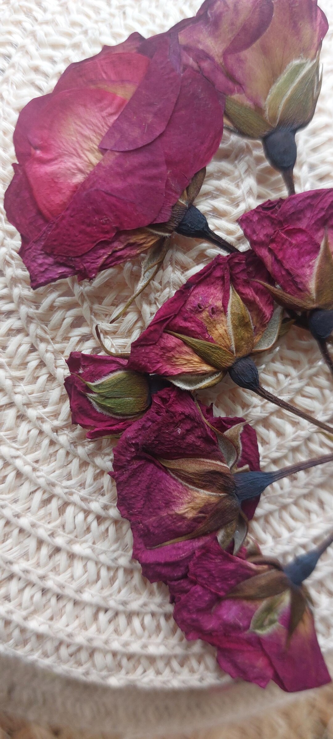 20 Real Dry Roses,miniature Rose Buds,dried Roses,miniature Dried Rose ...