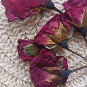 20 Real dry roses,Miniature Rose Buds,Dried Roses,Miniature Dried Rose, Dried Tiny Rose, Dried Rose for Resin