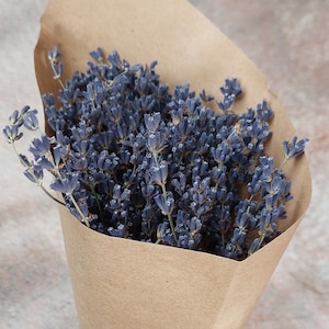 Lavender Bouquet / Dried Lavender / Dried Flower Bouquet / Lavender Bunch.Dried Lavender Bundles Natural Dried Lavender Flowers