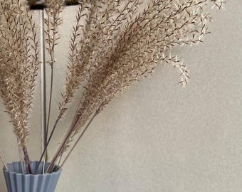 Dried Pampas Style Fountain Grass: Wedding Vase Decor, 15 Stems