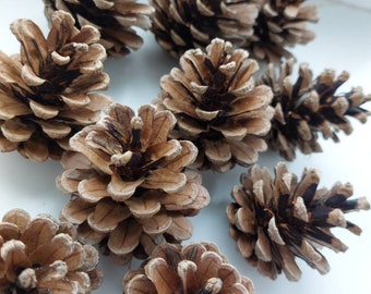 Piñas medianas, decoración navideña, suministros para manualidades, juego de 10