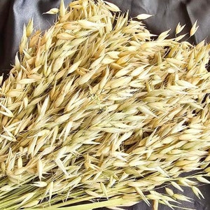 Organic Oat Spray, Hamster Sprays