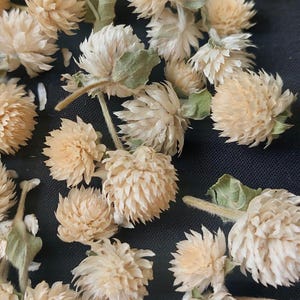 50 pcs mini flowers gomphrena for resin,tiny dried flowers,scrapbooking flower,tiny dry flowers,dried flowers,resin filling
