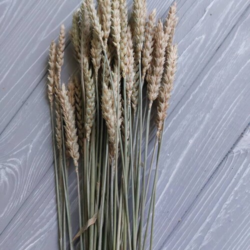 Organic Flax Spray Flax Spray Etsy