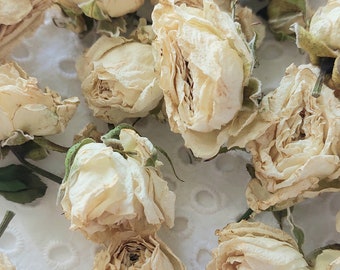 May include: A collection of dried white roses on a white lace background. The roses are delicate and have a soft, creamy color.