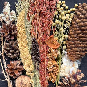 May include: An assortment of natural elements, including pine cones, walnuts, and various dried grains and seeds, arranged on a black surface. The composition features a variety of textures and colors, from light beige to deep brown and red.