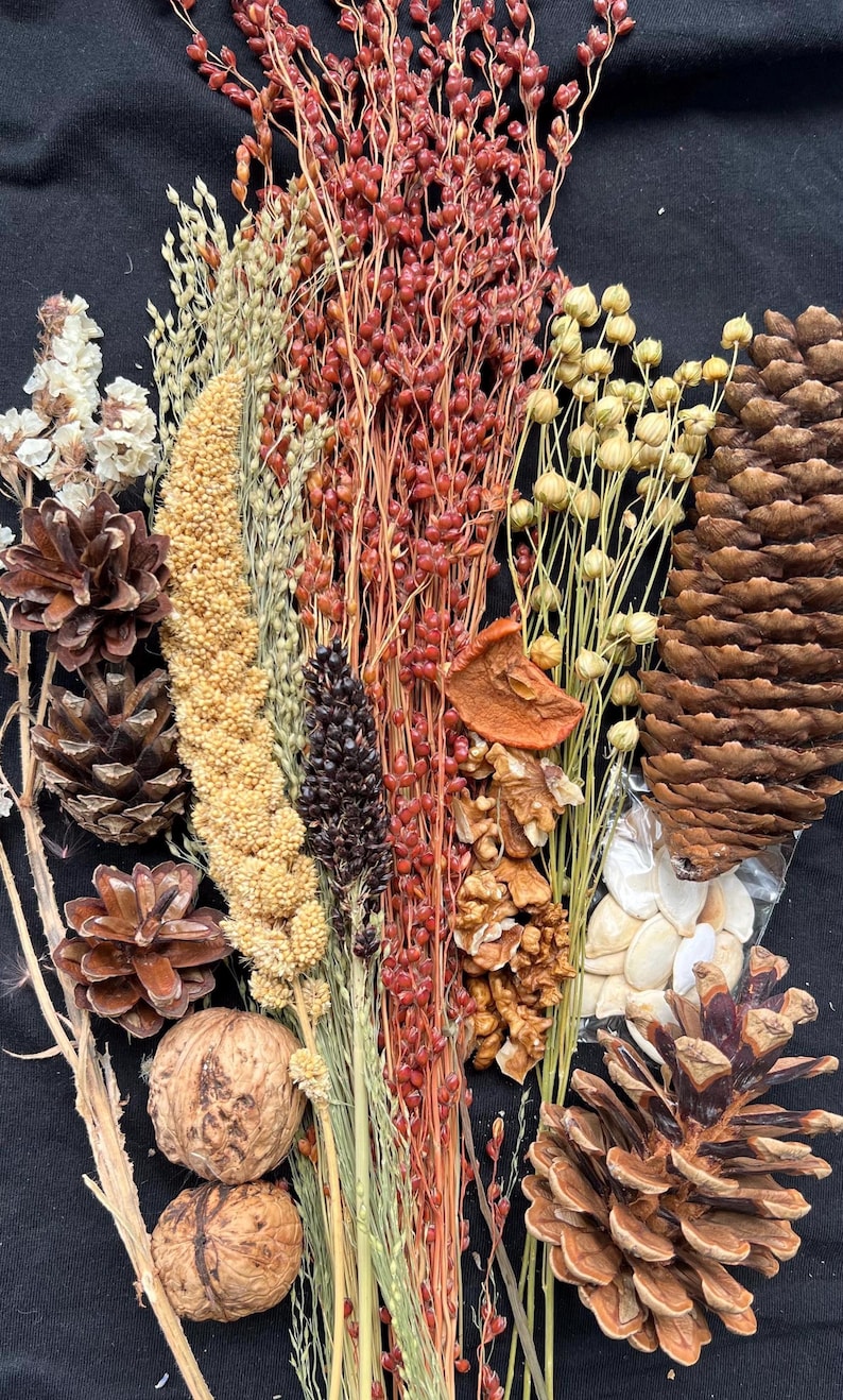 May include: An assortment of natural elements, including pine cones, walnuts, and various dried grains and seeds, arranged on a black surface. The composition features a variety of textures and colors, from light beige to deep brown and red.