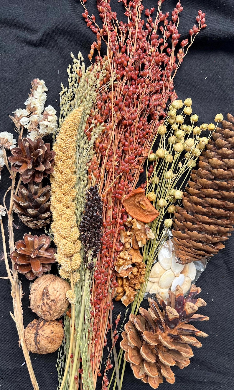May include: An assortment of dried natural elements, including pine cones, walnuts, seeds, and various grains and grasses in shades of brown, red, and beige. The arrangement is set against a black background, creating a rustic, earthy aesthetic.