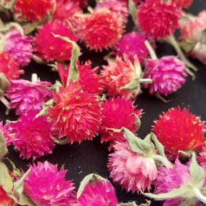50 pcs mini flowers for resin,tiny dried flowers,scrapbooking flower,tiny dry flowers,dried flowers,resin filling,dried flowers wreath kit