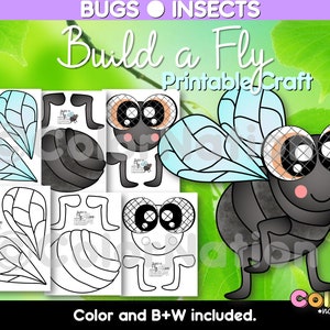 Build a Fly Craft - Bugs and Insects Activities - Spring Crafts