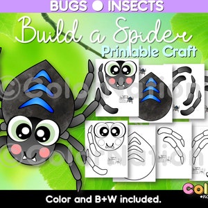 Build a Spider Craft: Bugs and Insects Activity (PDF Pattern)