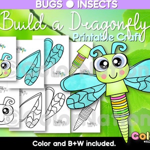 Build a Dragonfly Craft - Bugs and Insects Activities - Spring Crafts