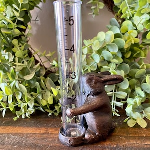 Little Rabbit Rain Gage