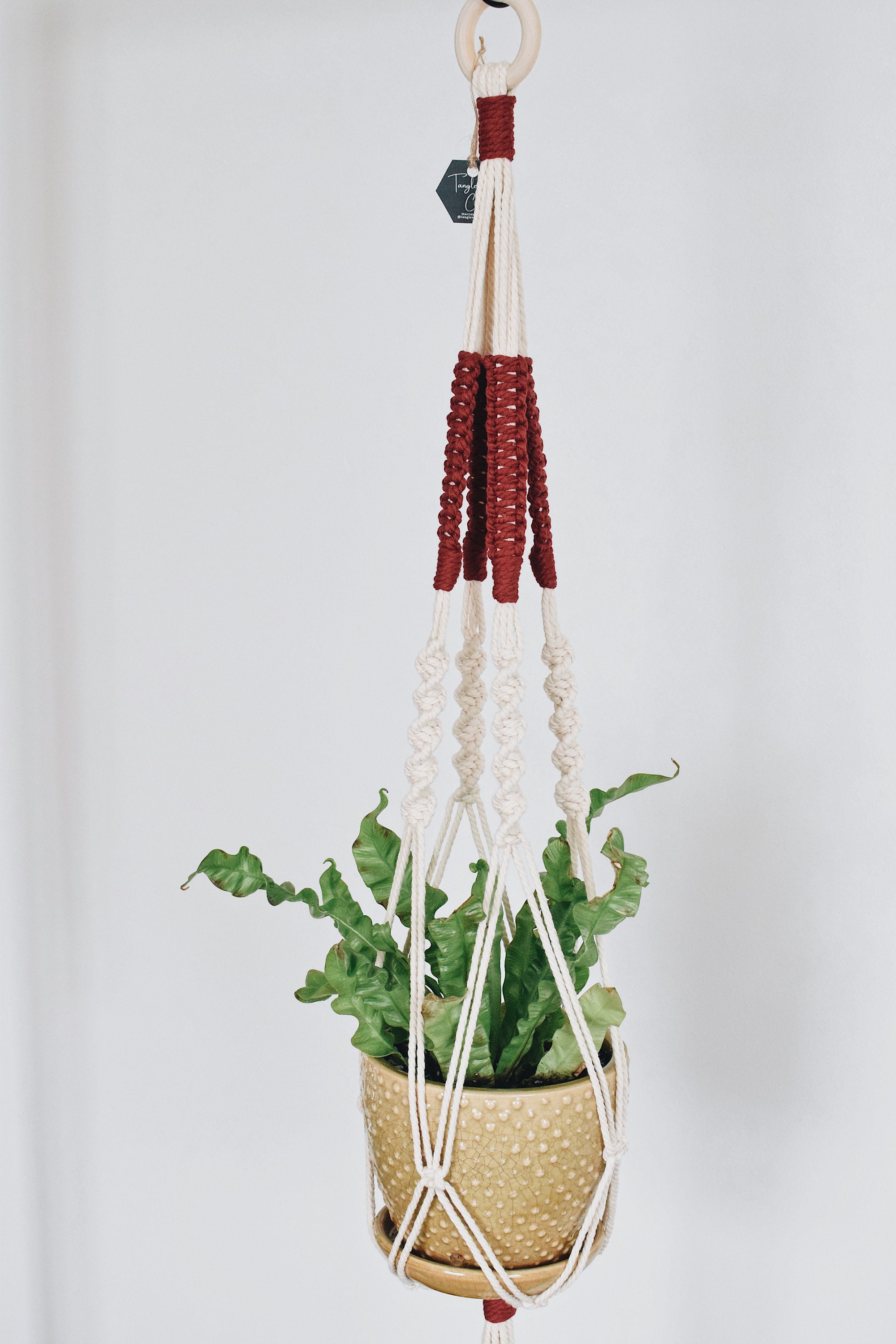 Sienna Macrame Hanging Planter - Etsy