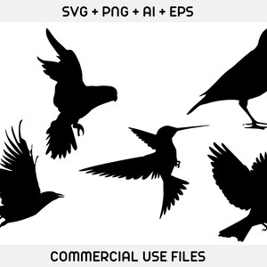 May include: Silhouettes of four birds in flight. The birds are black against a white background. The birds are a hummingbird, a robin, a crow, and a parrot.
