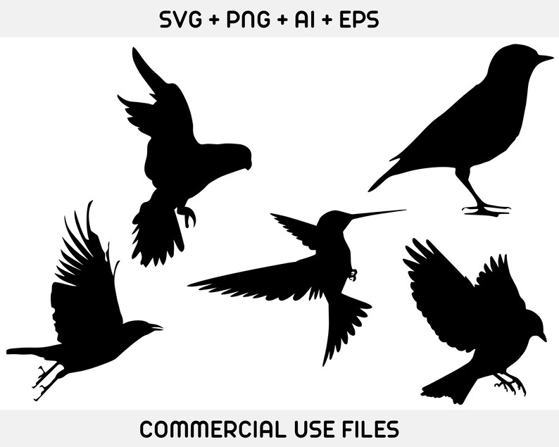 May include: Silhouettes of four birds in flight. The birds are black against a white background. The birds are a hummingbird, a robin, a crow, and a parrot.