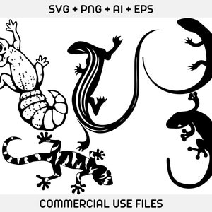 Pu&ograve; includere: Quattro illustrazioni di lucertole in silhouette in bianco e nero. Le lucertole sono in varie pose, tra cui arrotolate, in piedi sulle zampe posteriori e in corsa. Le illustrazioni sono semplici ed eleganti e sarebbero perfette per l'uso in una variet&agrave; di progetti.