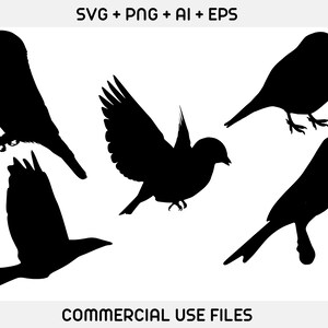 May include: Silhouettes of four birds in flight. The birds are black against a white background.