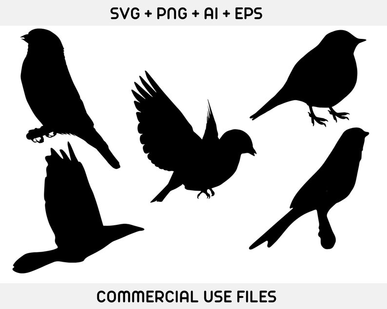 May include: Silhouettes of four birds in flight. The birds are black against a white background.