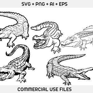 May include: Four black and white line drawings of alligators in different poses. The alligators are facing different directions and have their mouths open. The drawings are simple and stylized.
