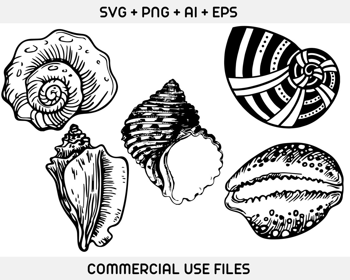 Seashells Bundle SVG Shells Bundle SVG Shells Cut File Sea Etsy