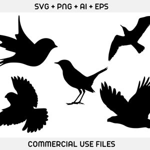 May include: Silhouettes of five different birds in black against a white background. The birds are facing different directions and are in various poses.